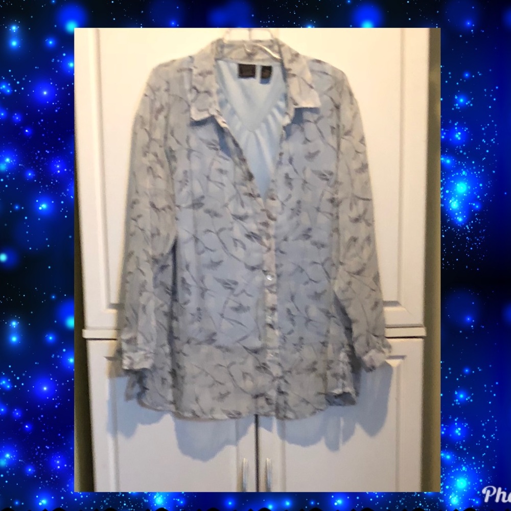 Pale Blue Blouse